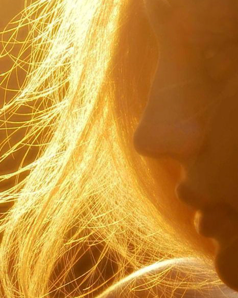 ABSORPTION & CIRCULATION