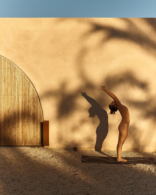 Immune & Daily Wellness