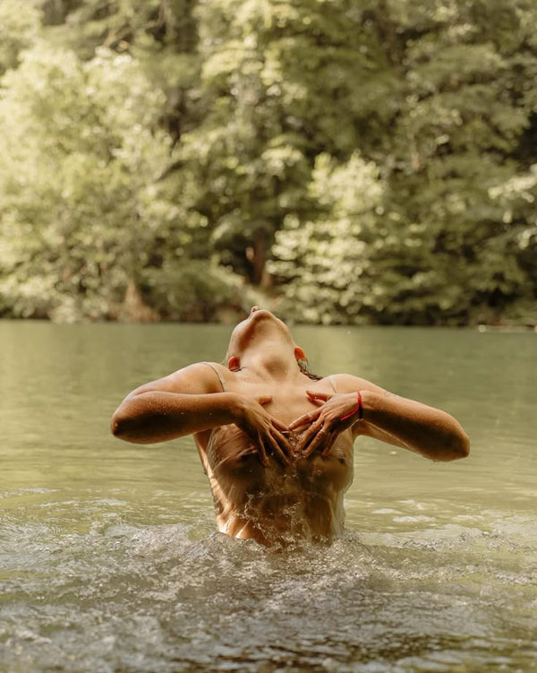 Gut Support & Absorption