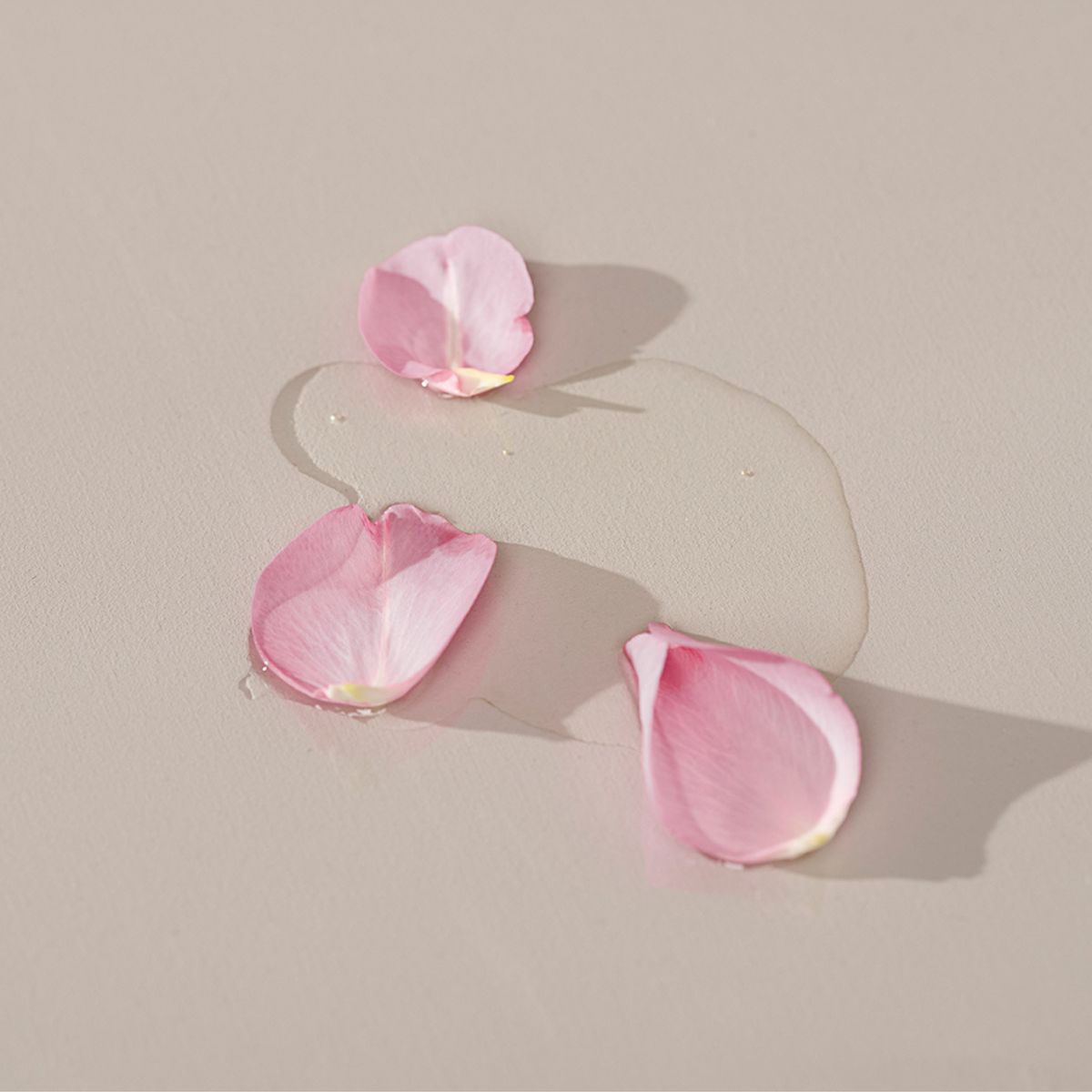 Probiotique Féminin