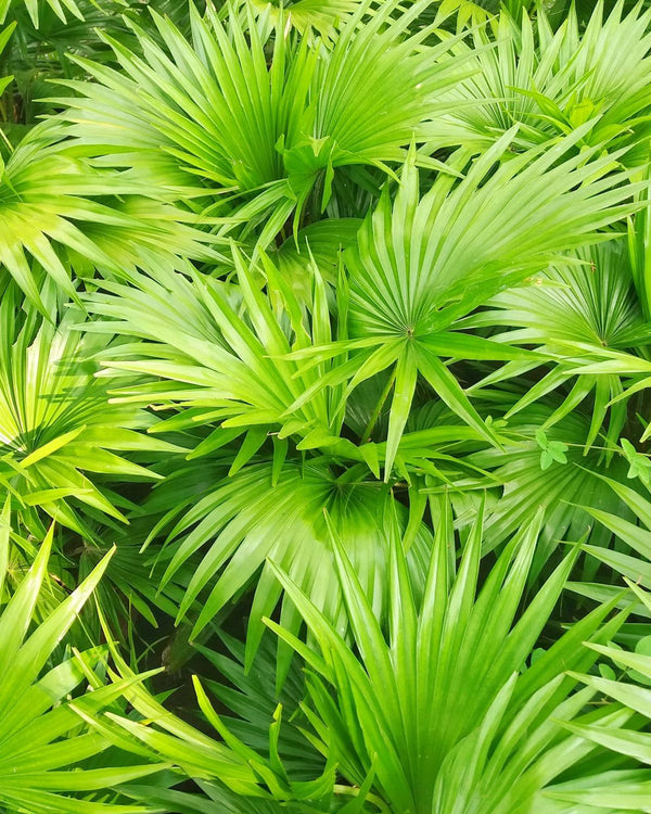 STRENGTH & PROTECTION